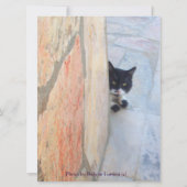 CARTE CHAT DÉTECTIF DERRIÈRE LE MUR DE PIERRE ( (Dos)