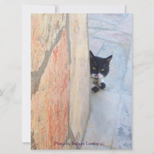 CARTE CHAT DÉTECTIF DERRIÈRE LE MUR DE PIERRE ( (Dos)