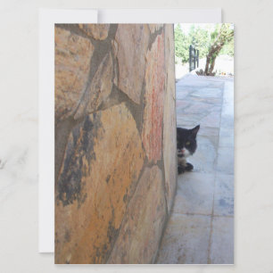 CARTE CHAT DÉTECTIF DERRIÈRE LE MUR DE PIERRE (