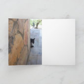 CARTE CHAT DÉTECTIF DERRIÈRE LE MUR DE PIERRE (Intérieur)