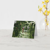 Carte Chat d'Halloween (Fleur jaune)