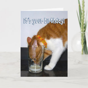 Carte Chat drôle buvant dans un verre - Joyeux Anniversa