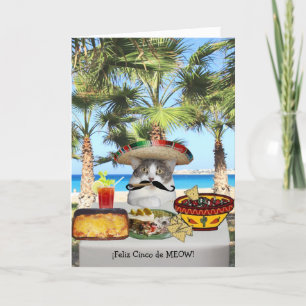 Carte Chat drôle Cinco heureux De Mayo