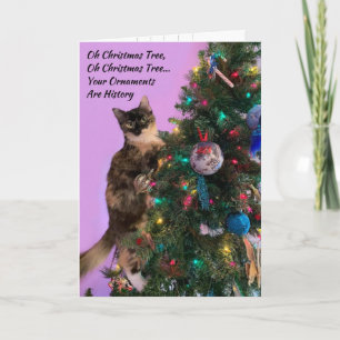 Carte Chat drôle dans l'arbre regardant les ornements de