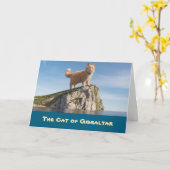 Carte Chat drôle de Gibraltar (Fleur jaune)