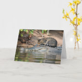 Carte Chat drôle de nap sur alligator (Fleur jaune)