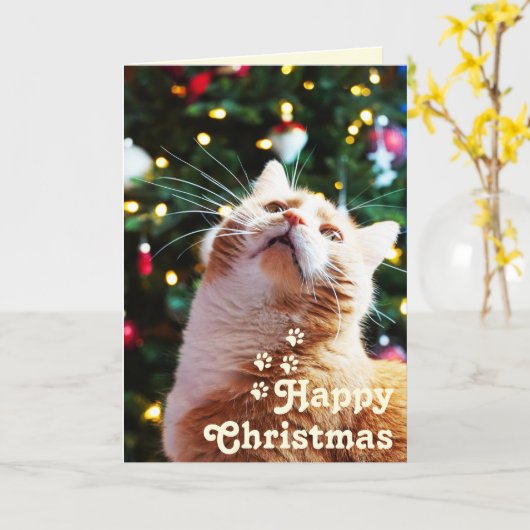 Carte Chat drôle et arbre vert & Joyeux Noël Unique  C (Fleur jaune)