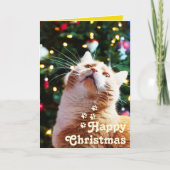 Carte Chat drôle et arbre vert&Joyeux Noël Unique C (Devant)