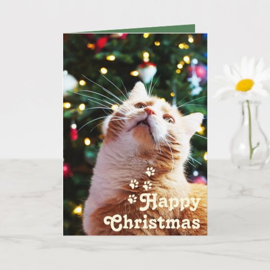 Carte Chat drôle et arbre vert&Noël unique (Petite plante)