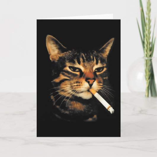 Carte Chat drôle fumant cigarette chaton mème stupide ce (Devant)