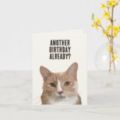 Carte Chat drôle Kitten Me Pun Anniversaire (Fleur jaune)