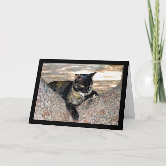Carte Chat écaille de tortue dans l'arbre (Devant)