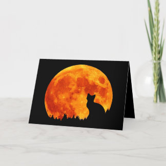 Carte Chat en pleine lune orange