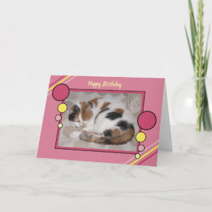 Carte Chat enroulé dans le sommeil photo rose jaune anni