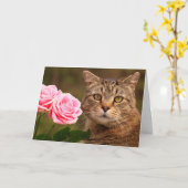 Carte Chat Et Deux Roses Anniversaire (Fleur jaune)
