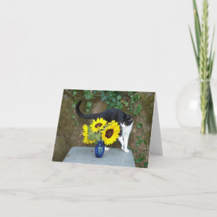Carte chat et fleurs