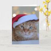 Carte Chat et lumières de Noël (Fleur jaune)
