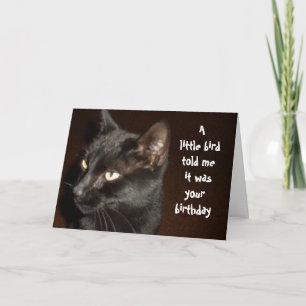 Carte CHAT ET OISEAU ANNIVERSAIRE
