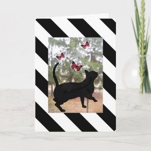 Carte Chat et papillon noir, blanc rayé anniversaire