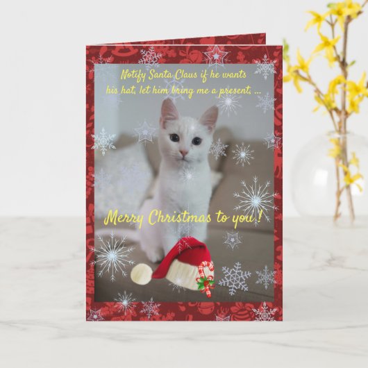 Carte Chat et Père Noël (Fleur jaune)