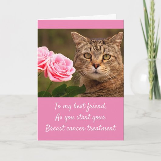 Carte Chat et Rose Cancer du sein (Devant)