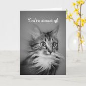 Carte Chat Étonné Avec Ruff Cou Joyeux Anniversaire (Fleur jaune)