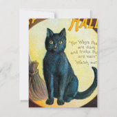 Carte Chat Falln Joyeux Halloween (Dos)
