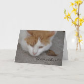 Carte Chat, Frère O, Anniversaire Belge (Fleur jaune)