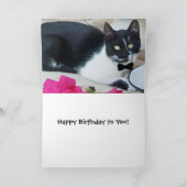 Carte CHAT GENTIL DANS LE RESTAURANT Joyeux Anniversaire (Intérieur)