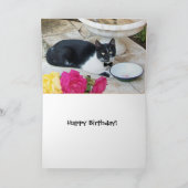 Carte CHAT GENTIL DANS LE RESTAURANT Joyeux anniversaire (Intérieur)