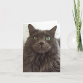 Carte Chat gris (Devant)