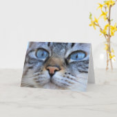 Carte Chat gris (Fleur jaune)