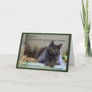 Carte Chat gris et duveteux sur une chaise