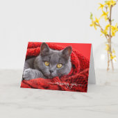 Carte Chat Gris Manquant dans un Afghan Rouge Tricoté (Fleur jaune)