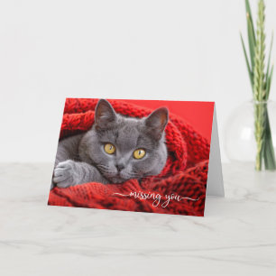 Carte Chat Gris Manquant dans un Afghan Rouge Tricoté