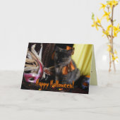 Carte Chat Halloween (Fleur jaune)