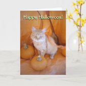 Carte Chat Halloween (Fleur jaune)