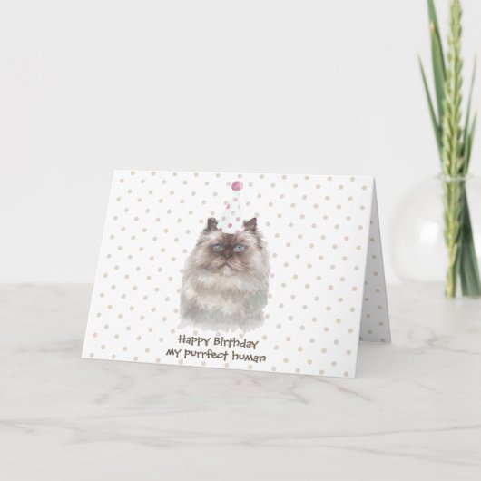 Carte Chat himalayen avec chapeau de fête (Devant)
