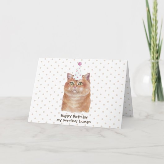 Carte Chat Hosico avec chapeau de fête (Devant)