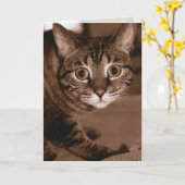 Carte Chat inquiet (Fleur jaune)