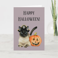Chat Jack-o'-lantern Halloween heureux de pirate