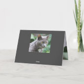 Carte Chat Kitty Funny (Dos)