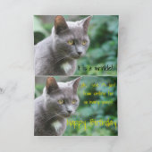 Carte Chat Kitty Funny (Intérieur)