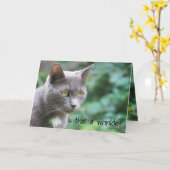 Carte Chat Kitty Funny (Fleur jaune)