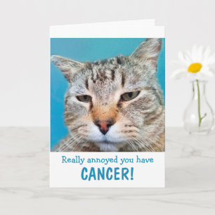 Carte Chat Mad Au Cancer Drôle