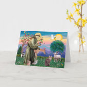 Carte Chat Maine Coon - Saint François (Fleur jaune)
