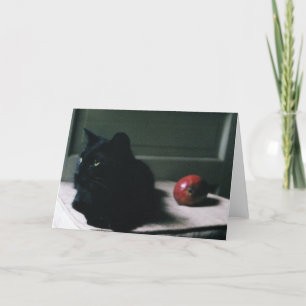 Carte Chat & Mango