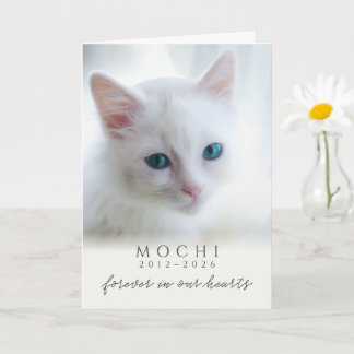 Carte Chat Mémorial Perte Crème Forever Dans Nos Cœurs