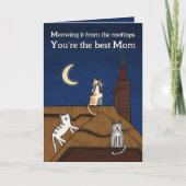 Carte Chat mignon à la Whimssal Mewing Rooftops Fête des (Devant)