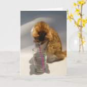 Carte Chat mignon buvant du joyeux anniversaire de (Fleur jaune)